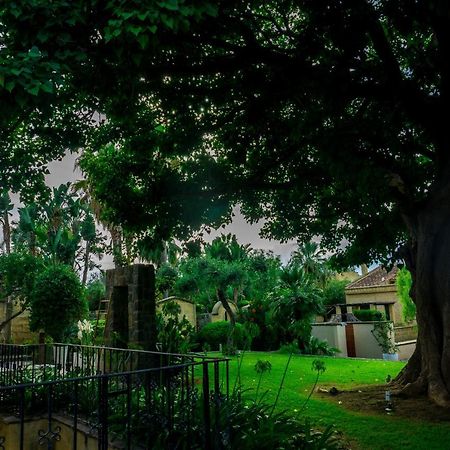 Villa Medina Чефалу Екстериор снимка